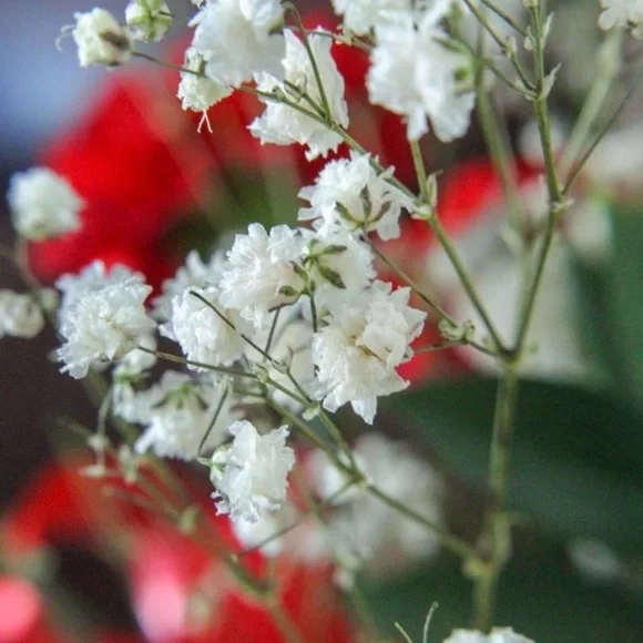 Canon EOS Rebel 7 Black DSLR Camera - Picture 9 of 9